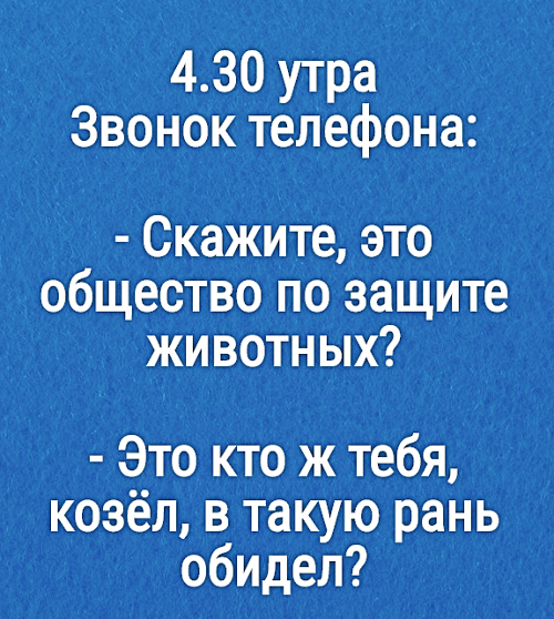 Анекдоты про Телефонные звонки
