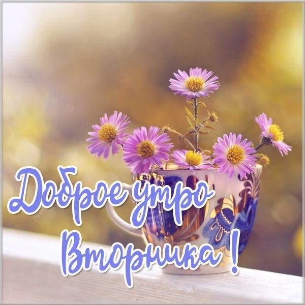 Доброе утро вторника