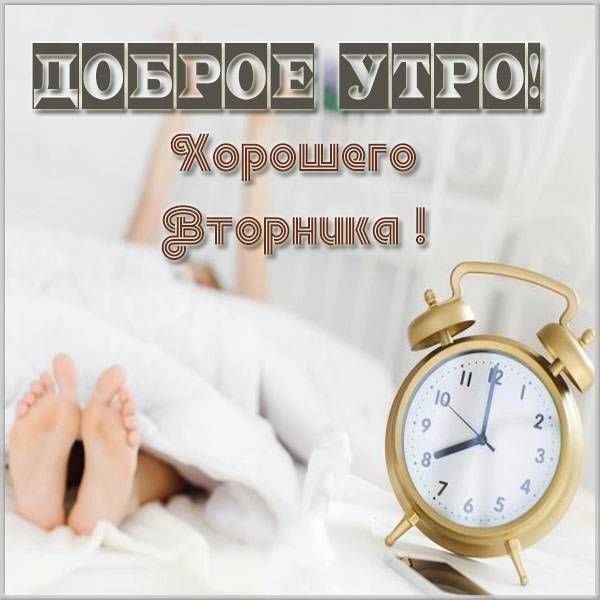 Доброе утро вторника