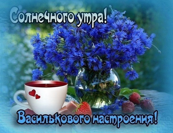 Доброе утро с ромашками и васильками