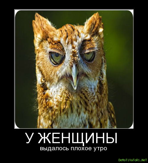 Недоброе утро смешные
