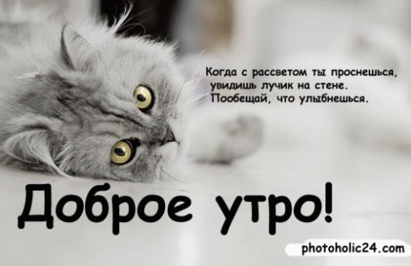 Доброе утро Леонид