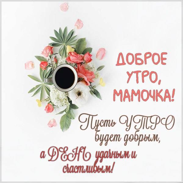 Солнечное утро