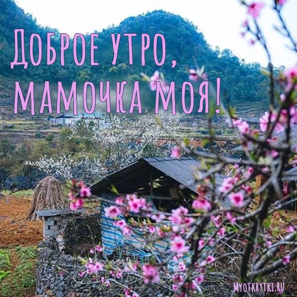 Картинки мамочка утром (38 фото)
