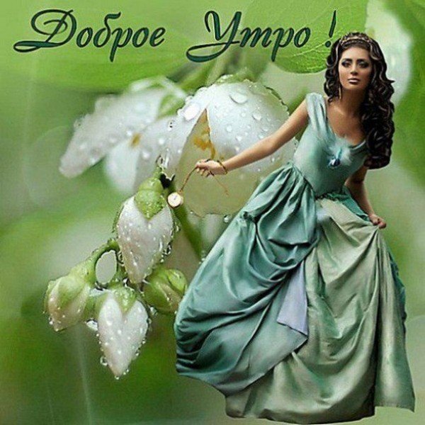 Доброе утро красавица