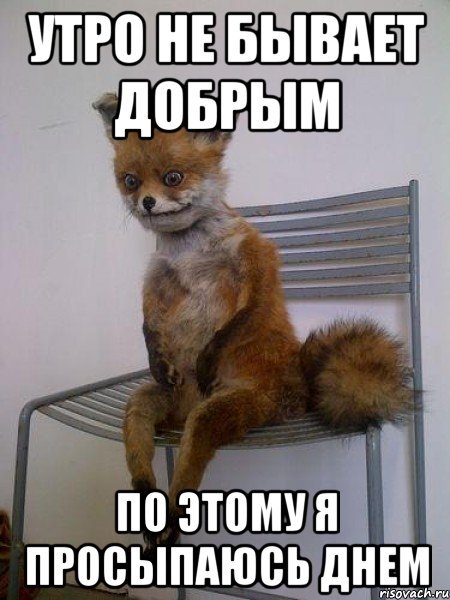 Доброе утро утро добрым не бывает