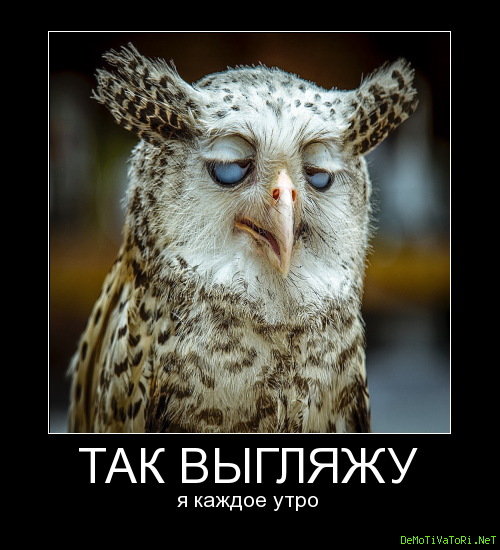 Я каждое утро