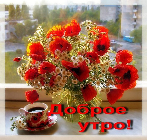 Доброе утро Страна