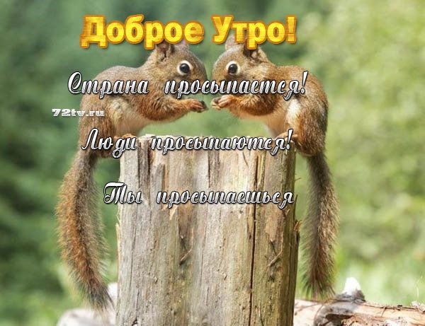 Доброе утро Страна
