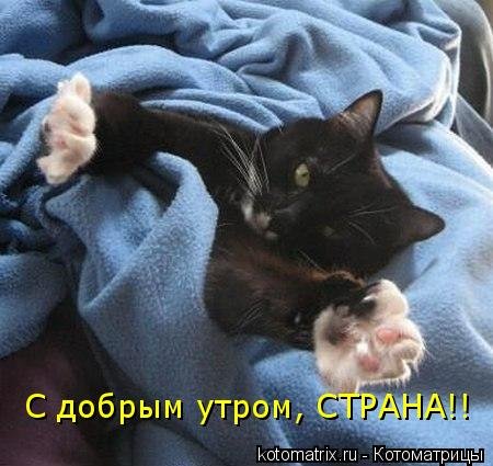 Доброе утро Страна