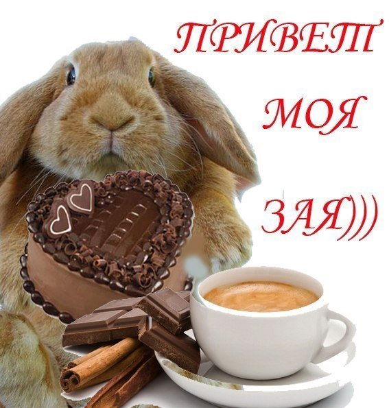 Кралич зайчик Сева обиделся