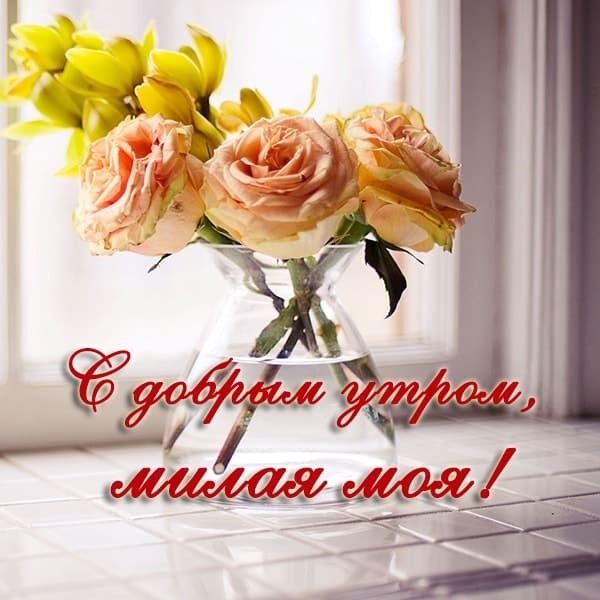 Доброе утро красавица