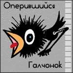 Галчонок гиф