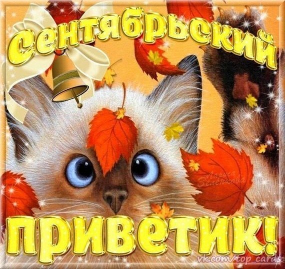 Осенний приветик и хорошего настроения