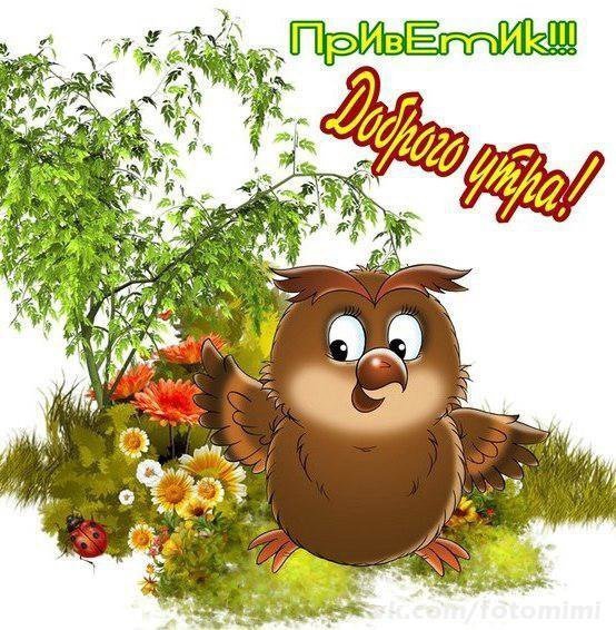 Приветик с добрым утром