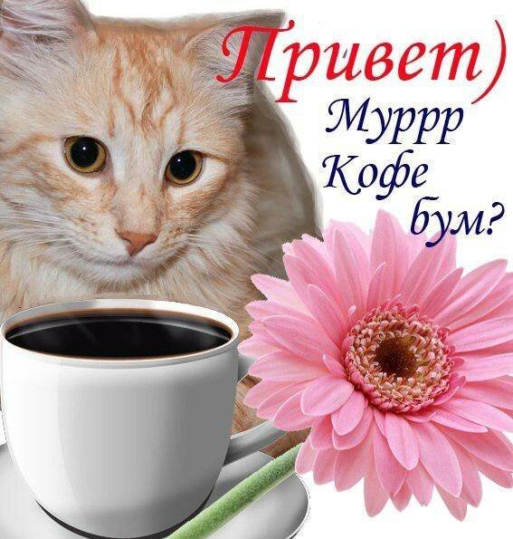 Открытка с добрым утром удачного дня