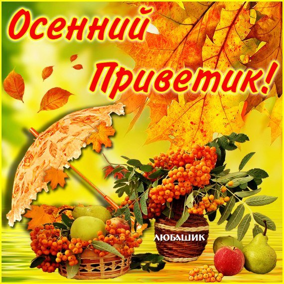 Осенний приветик