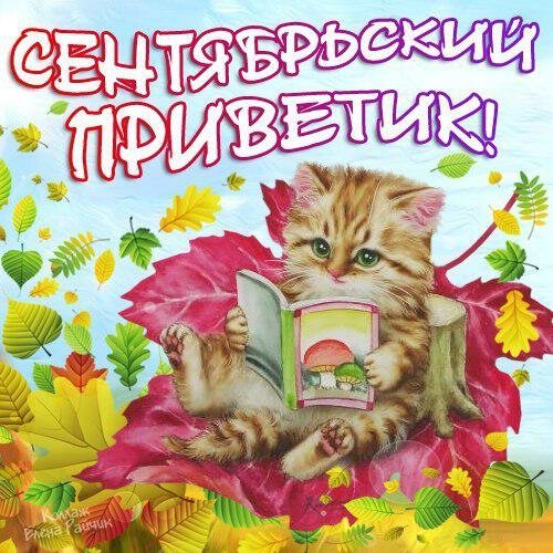 Открытка теплый осенний приветик