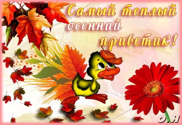 Открытки осенний приветик