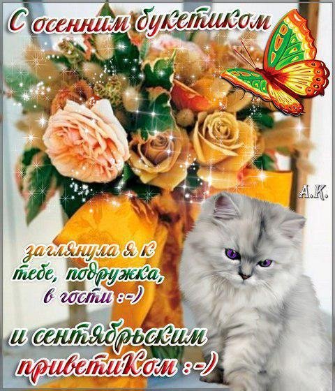 Открытка теплый осенний приветик
