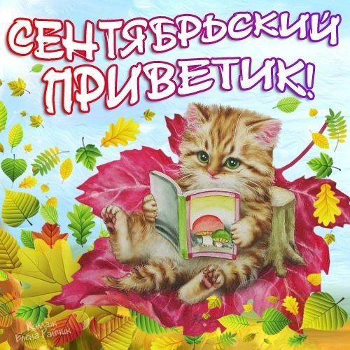 Осенние открытки с пожеланиями приветами
