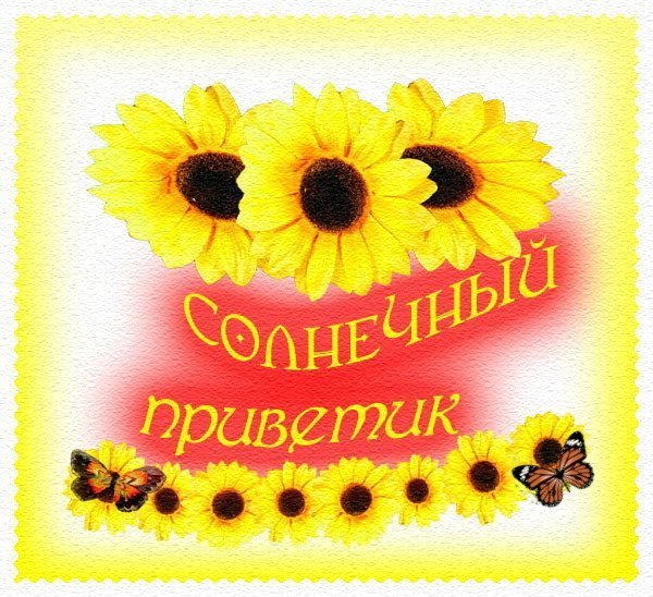 Приветик солнце