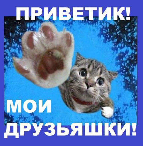 Всем привет картинки