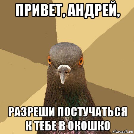 Привет, Андрей