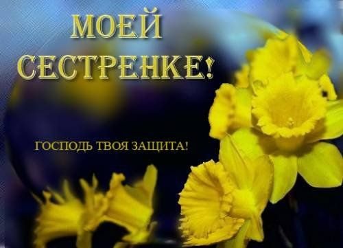 Привет картинки