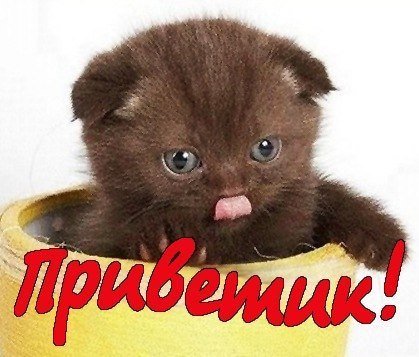 Привет доченька