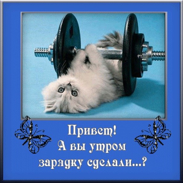 Утреннее Приветствие
