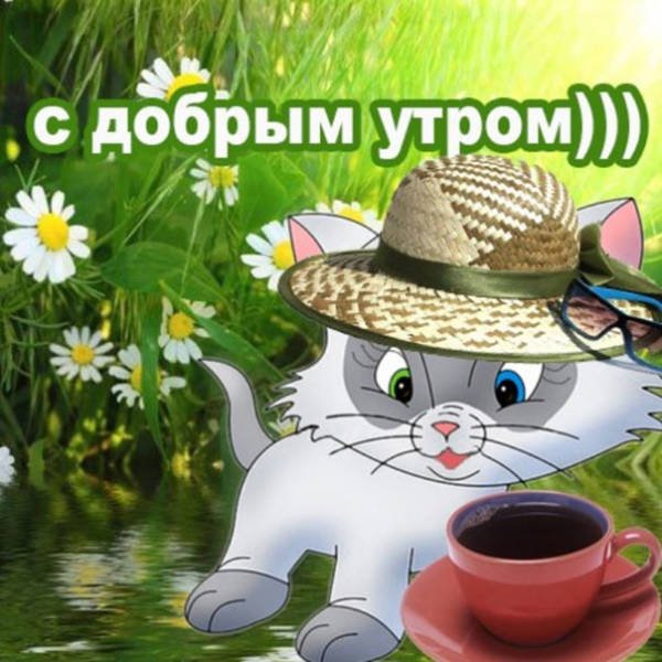 Приветствие с добрым утром