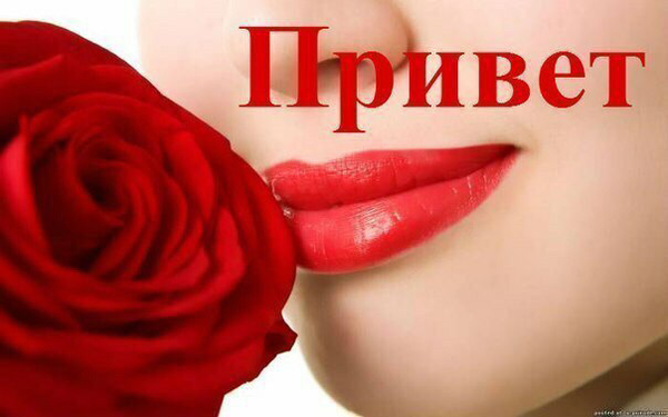 Открытка красавцы