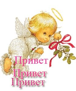 Привет привет