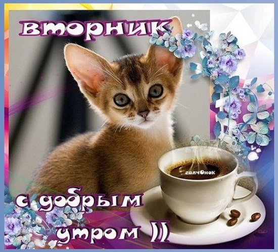 Доброе утро вторника