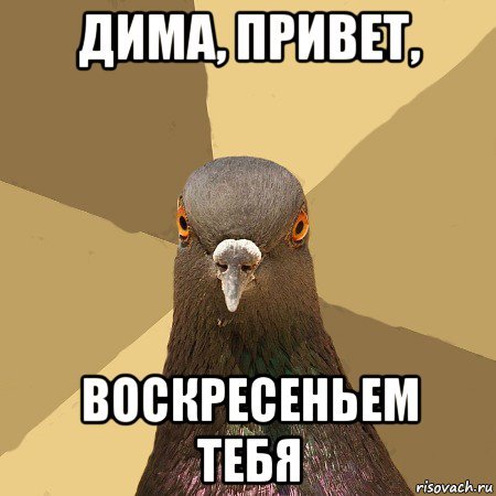 Привет Димочка