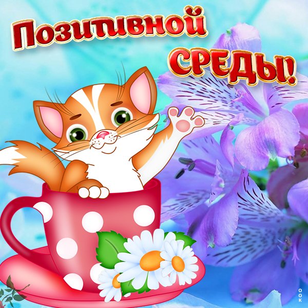 Открытки со средой