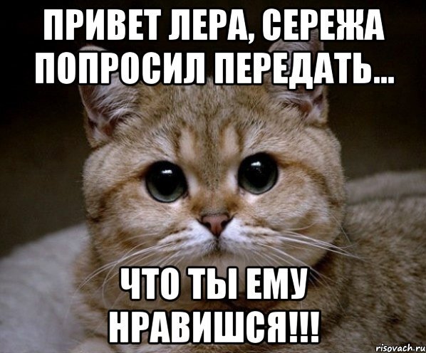 Привет Сережа картинки