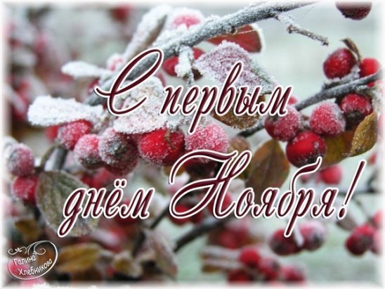 Привет ноябрь
