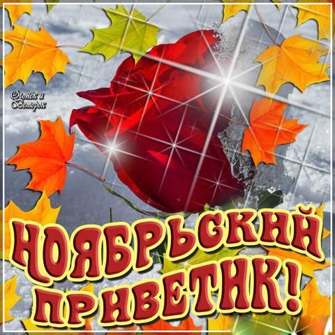 Поздравление с первым днем ноября