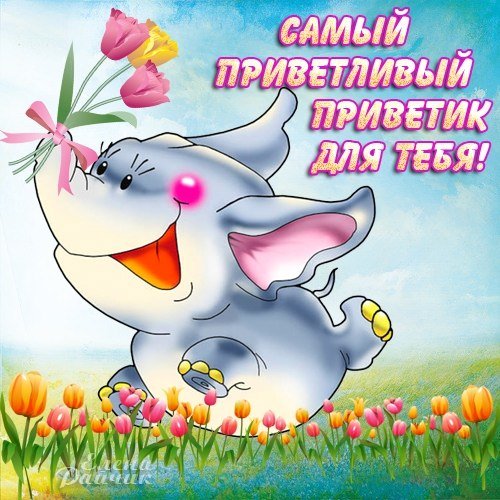 Теплый привет
