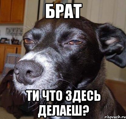 Привет братишка
