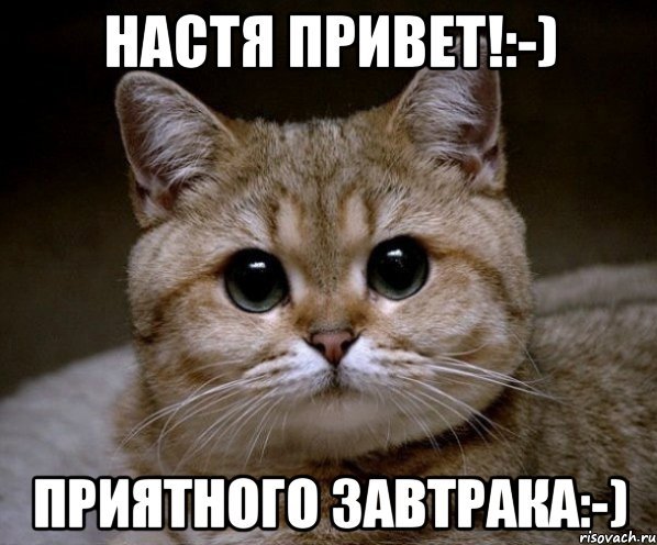Привет Настя Мем