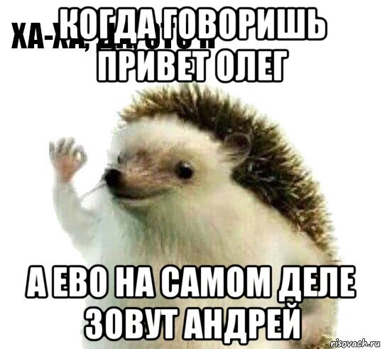 Открытки привет Олег