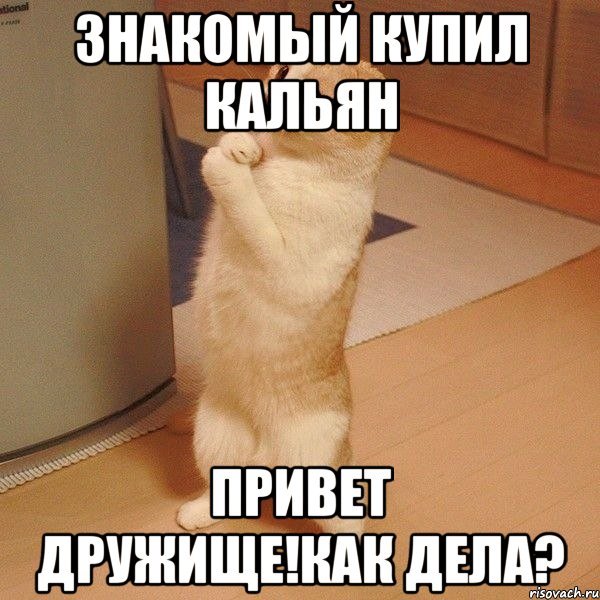 Привет Эдгар