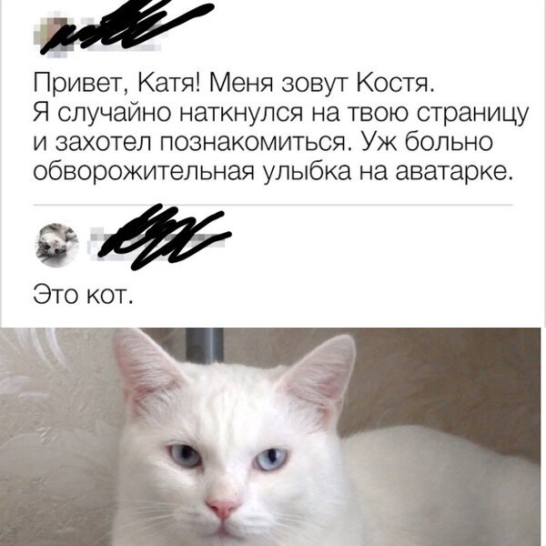 Привет Катя картинки
