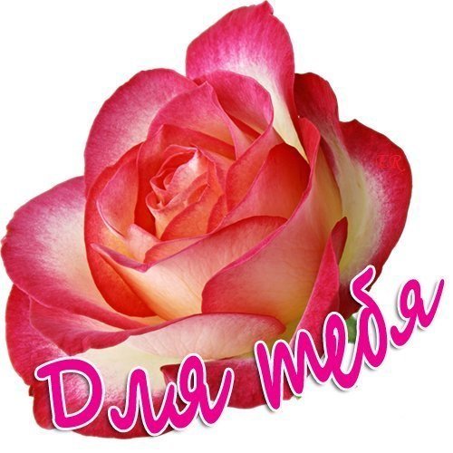 Привет Иришка