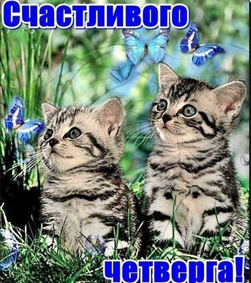 Открытки счастливого четверга