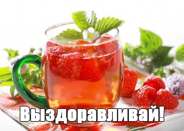 Выздоравливай картинки прикольные