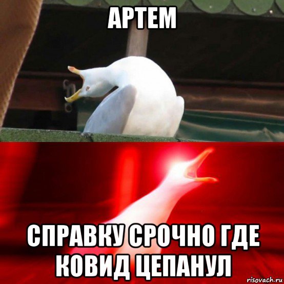 Мемы про ковид смешные